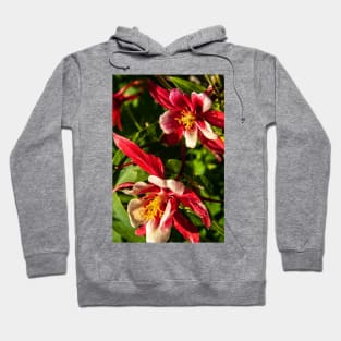 Red Columbine Hoodie